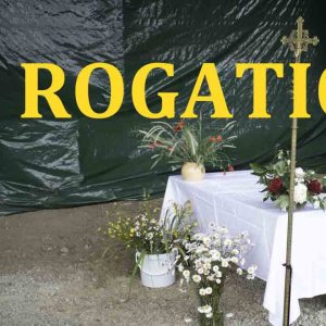 Rogations